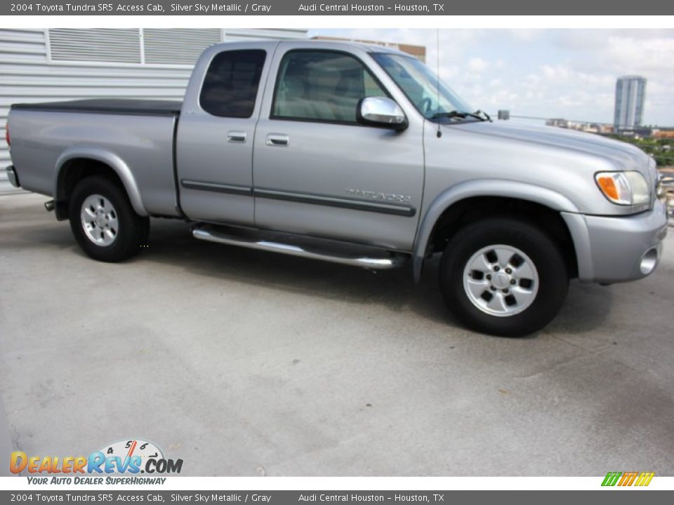 2004 Toyota Tundra SR5 Access Cab Silver Sky Metallic / Gray Photo #9