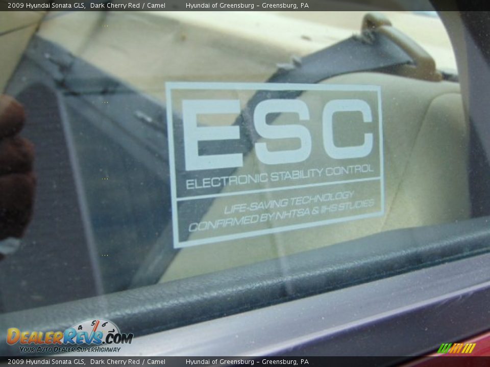 2009 Hyundai Sonata GLS Dark Cherry Red / Camel Photo #7