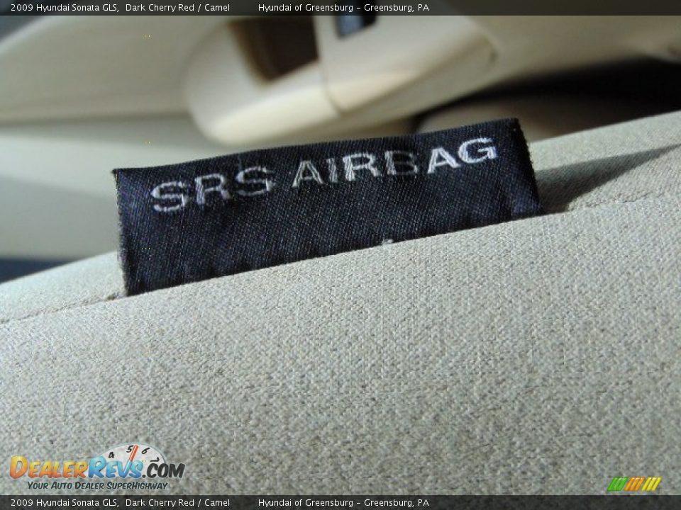 2009 Hyundai Sonata GLS Dark Cherry Red / Camel Photo #13