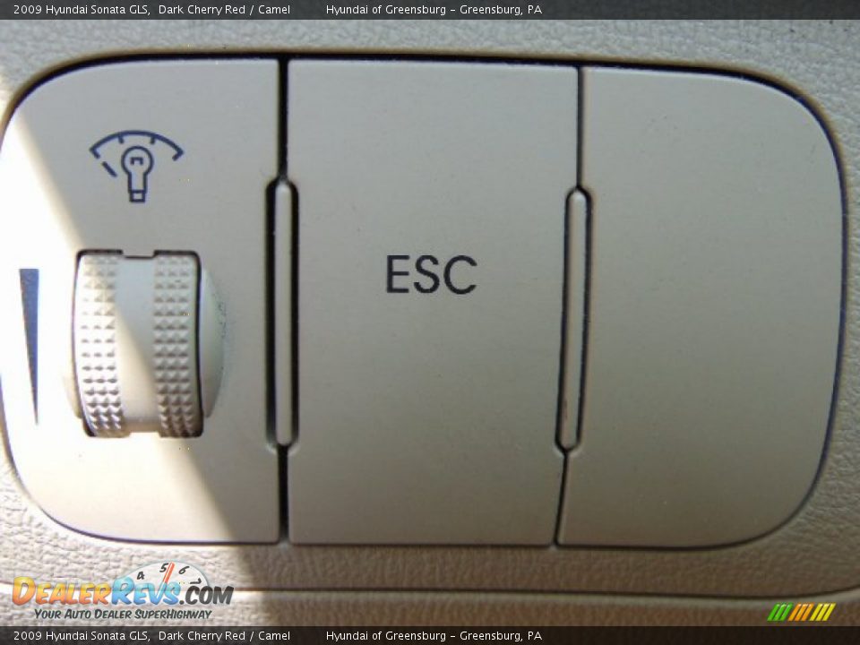 2009 Hyundai Sonata GLS Dark Cherry Red / Camel Photo #18