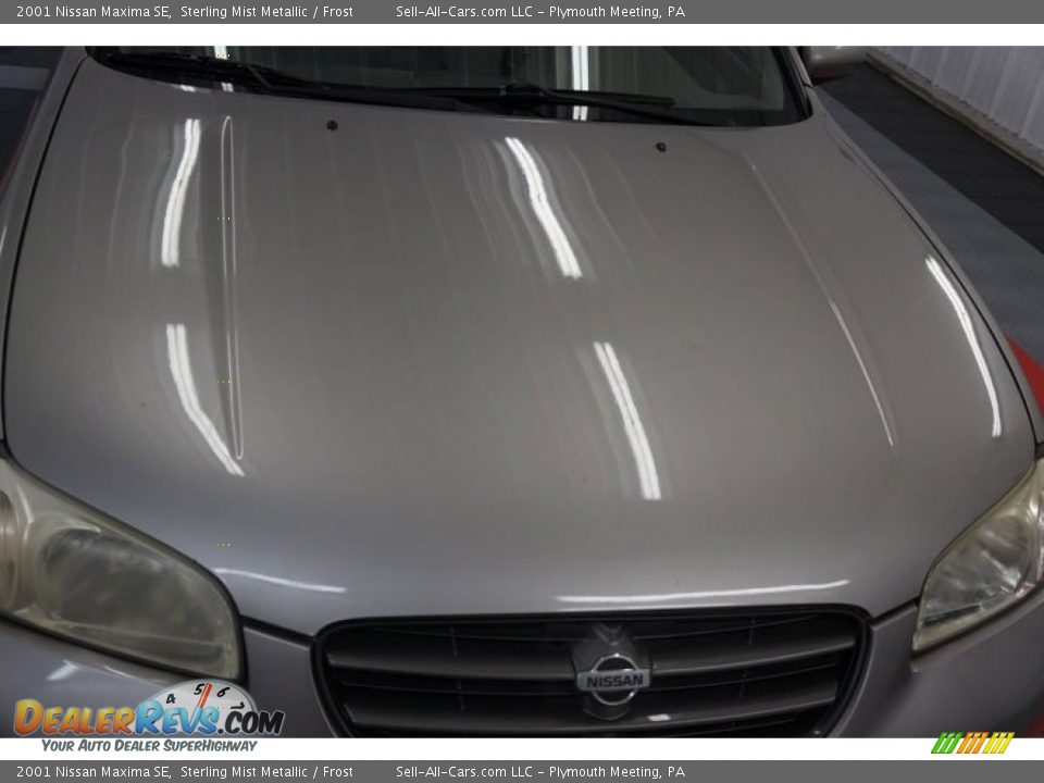 2001 Nissan Maxima SE Sterling Mist Metallic / Frost Photo #35