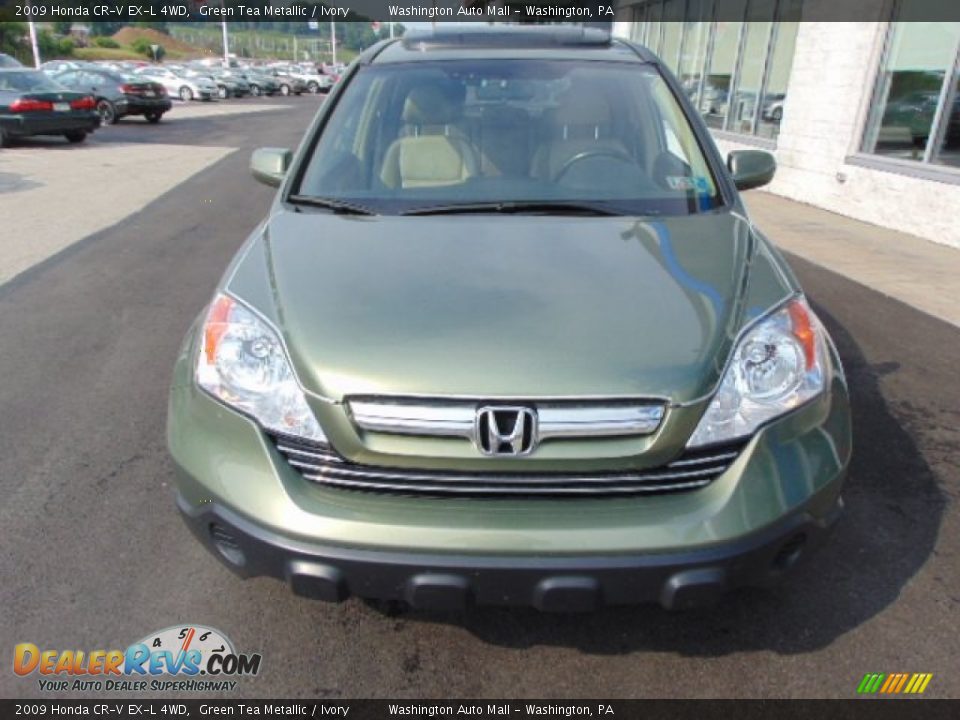 2009 Honda CR-V EX-L 4WD Green Tea Metallic / Ivory Photo #4