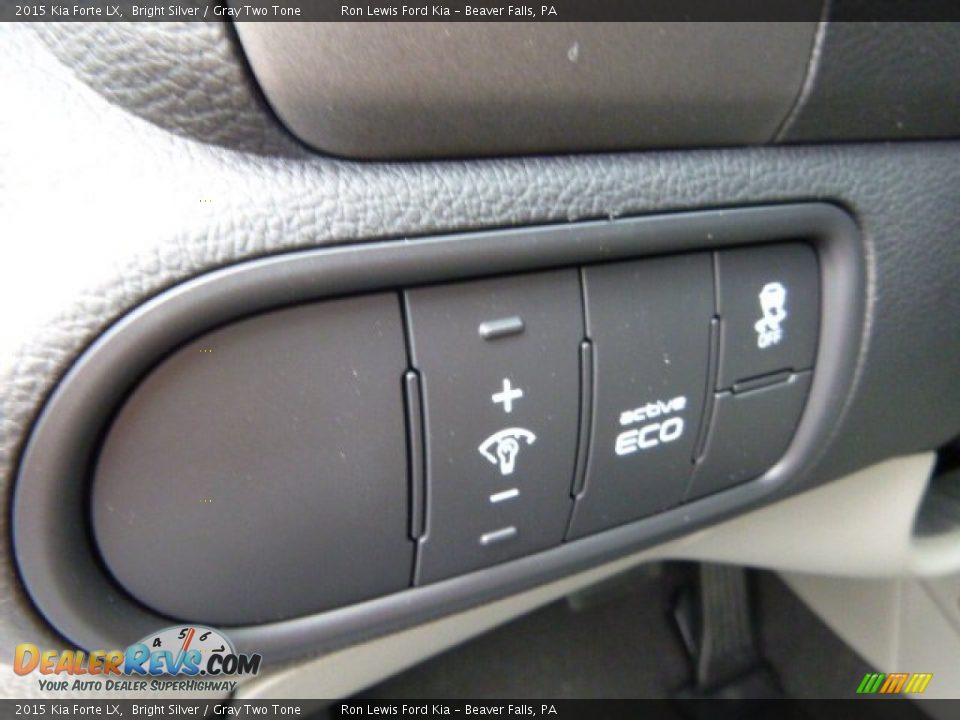 2015 Kia Forte LX Bright Silver / Gray Two Tone Photo #15
