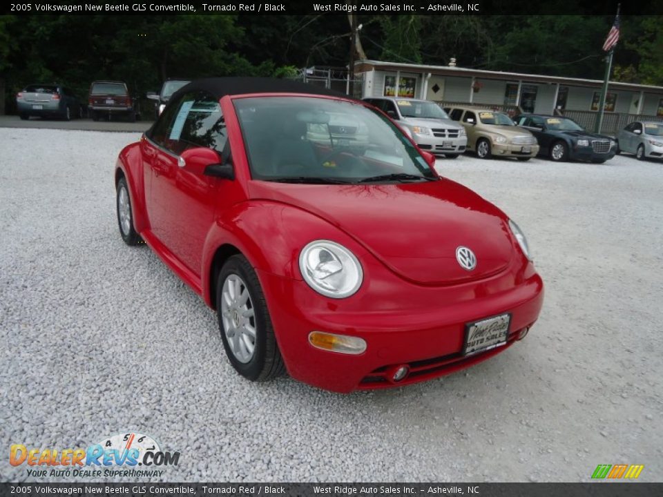 2005 Volkswagen New Beetle GLS Convertible Tornado Red / Black Photo #3