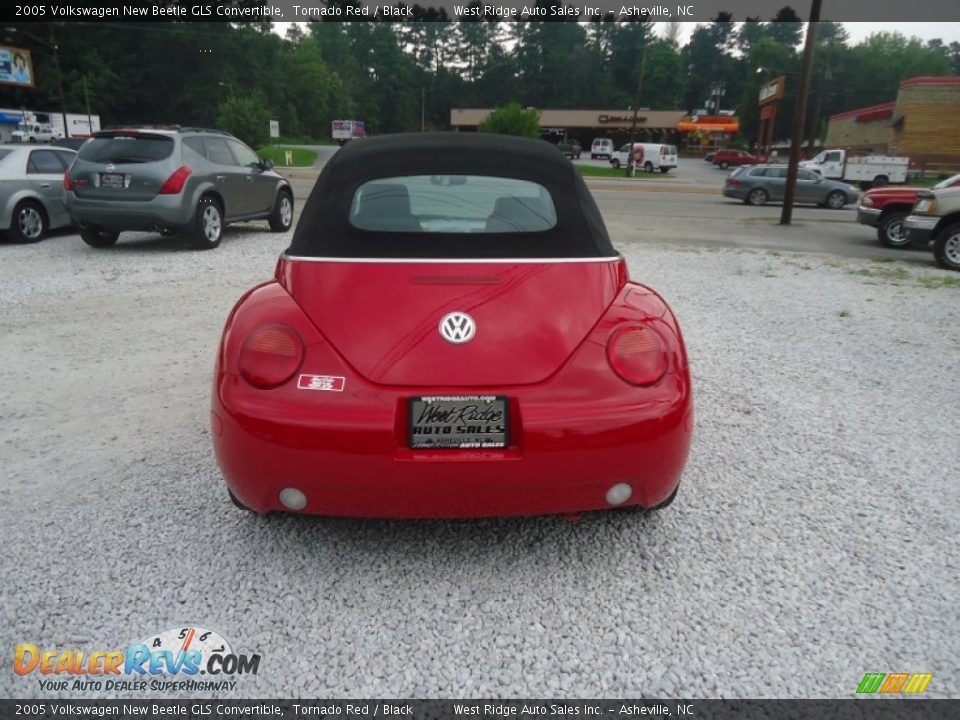 2005 Volkswagen New Beetle GLS Convertible Tornado Red / Black Photo #6