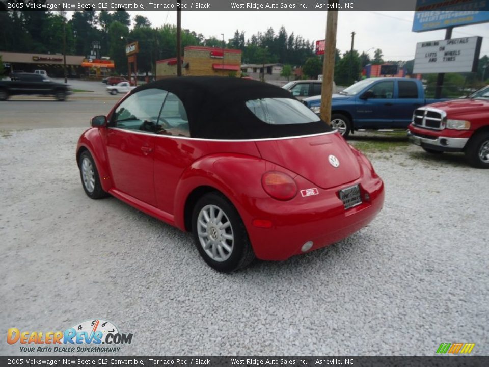 2005 Volkswagen New Beetle GLS Convertible Tornado Red / Black Photo #7
