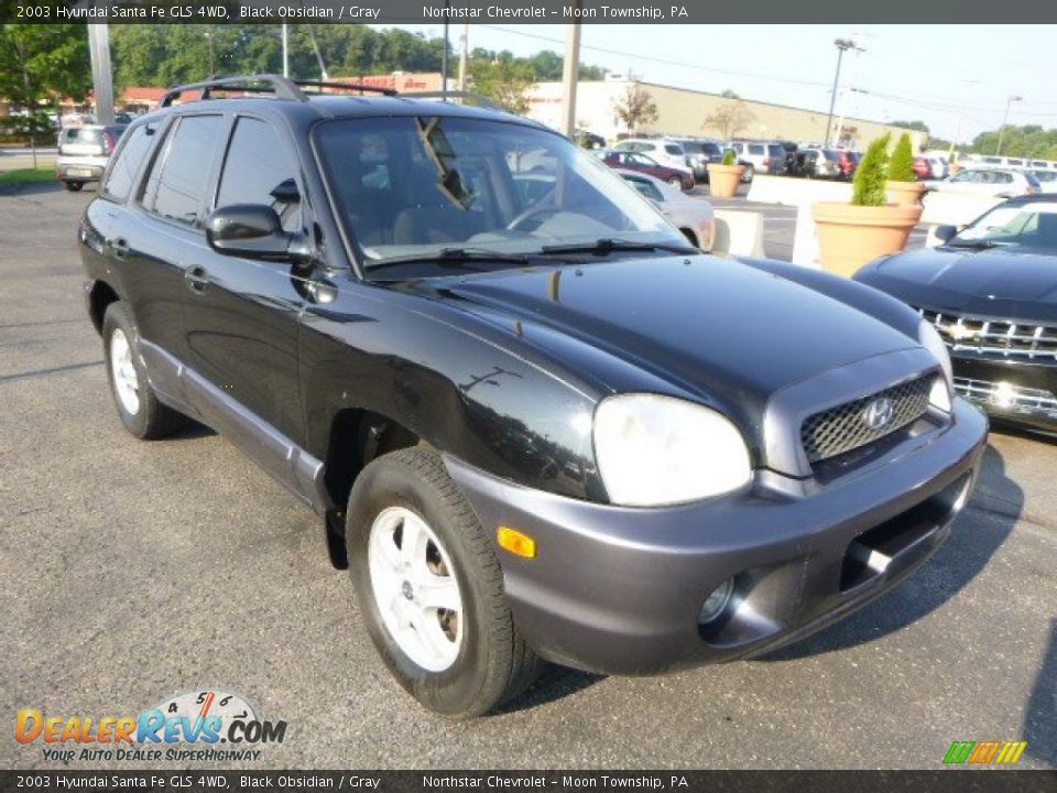 2003 Hyundai Santa Fe GLS 4WD Black Obsidian / Gray Photo #5