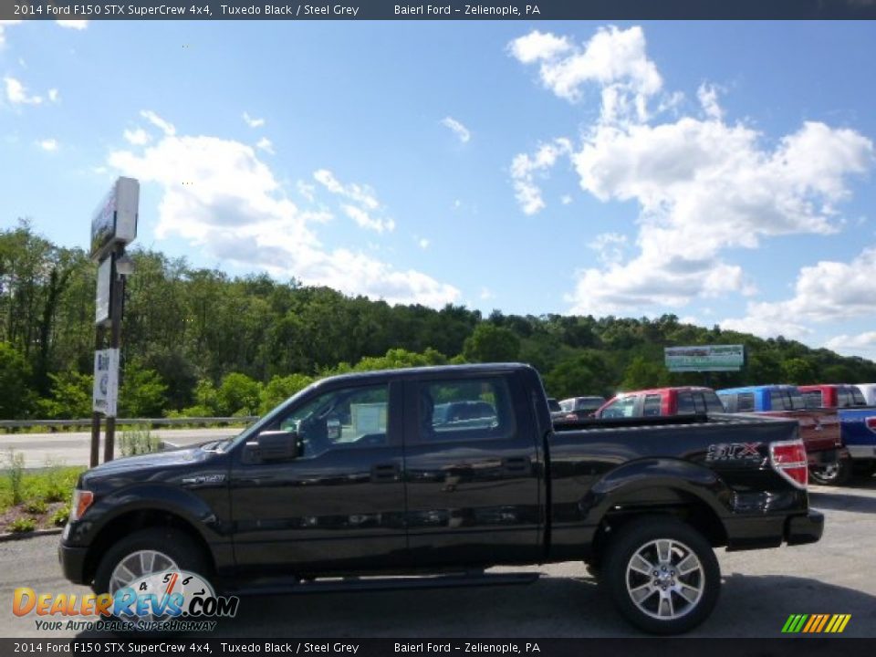 2014 Ford F150 STX SuperCrew 4x4 Tuxedo Black / Steel Grey Photo #5