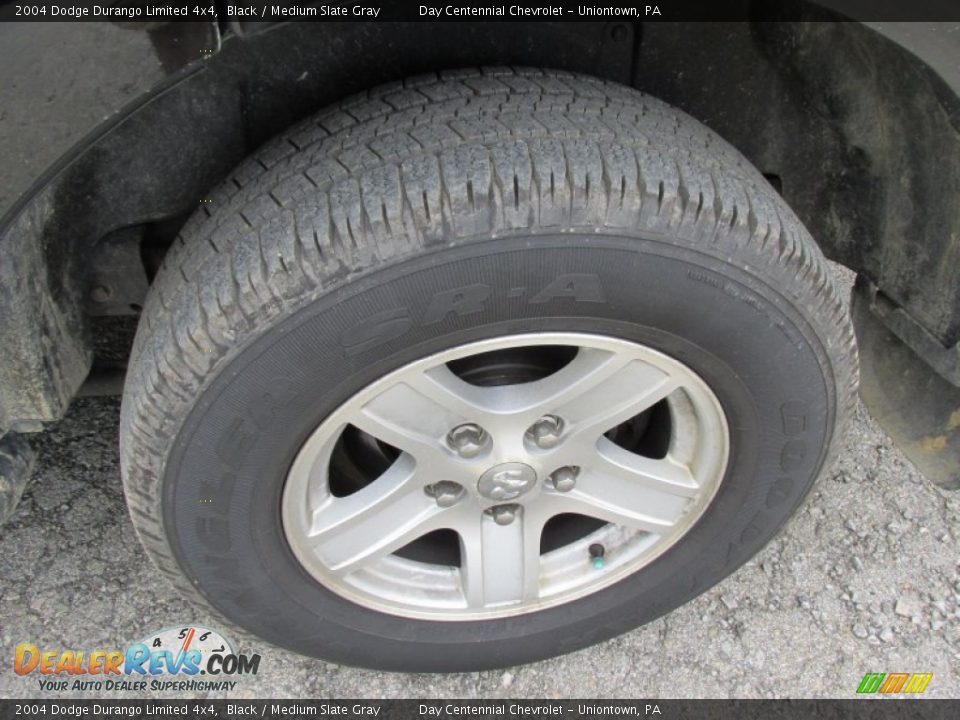 2004 Dodge Durango Limited 4x4 Black / Medium Slate Gray Photo #3
