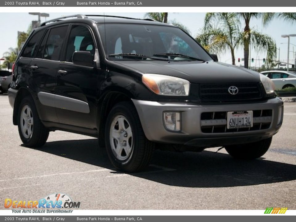 2003 Toyota RAV4 Black / Gray Photo #1