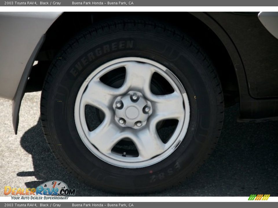 2003 Toyota RAV4 Black / Gray Photo #32