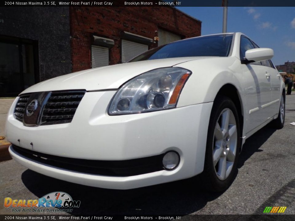 2004 Nissan Maxima 3.5 SE Winter Frost Pearl / Frost Gray Photo #4