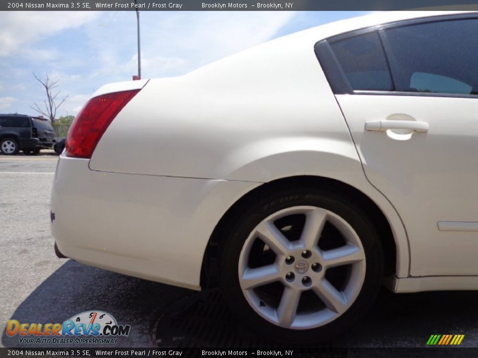 2004 Nissan Maxima 3.5 SE Winter Frost Pearl / Frost Gray Photo #11