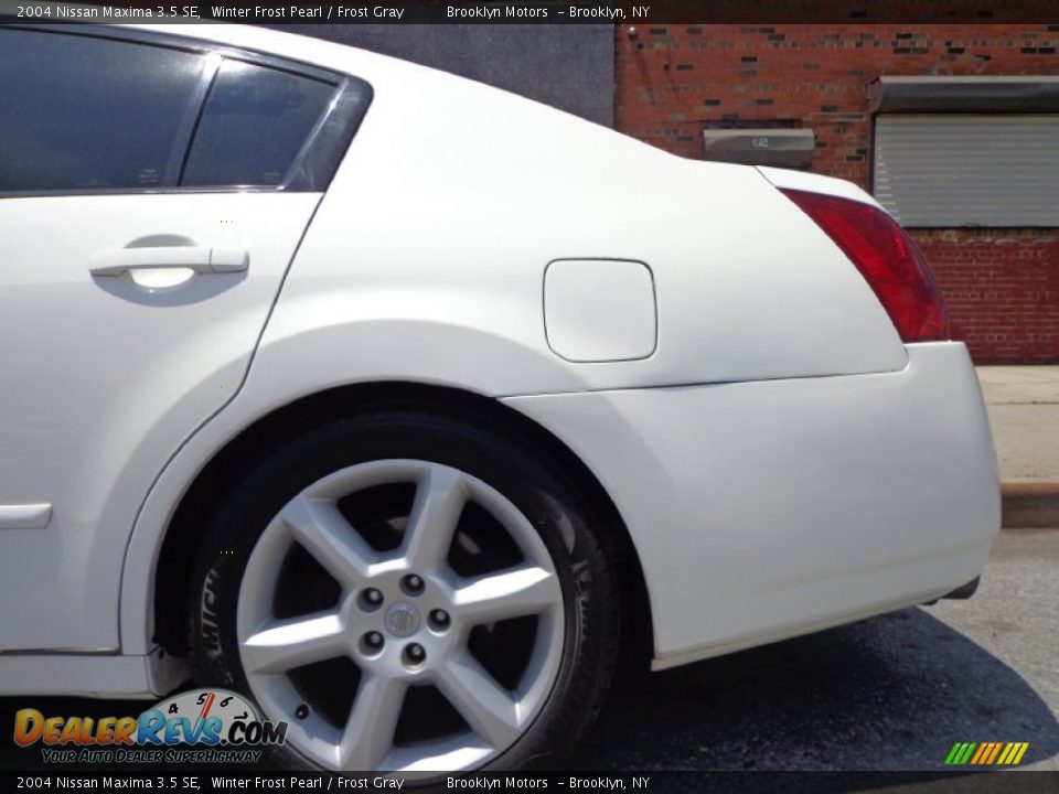 2004 Nissan Maxima 3.5 SE Winter Frost Pearl / Frost Gray Photo #12