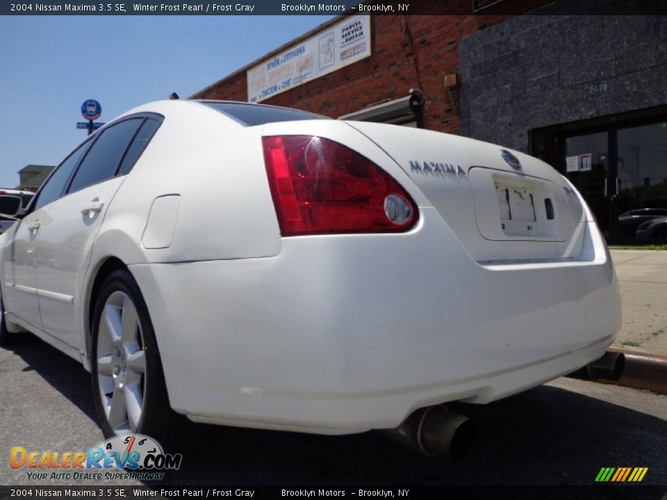 2004 Nissan Maxima 3.5 SE Winter Frost Pearl / Frost Gray Photo #18