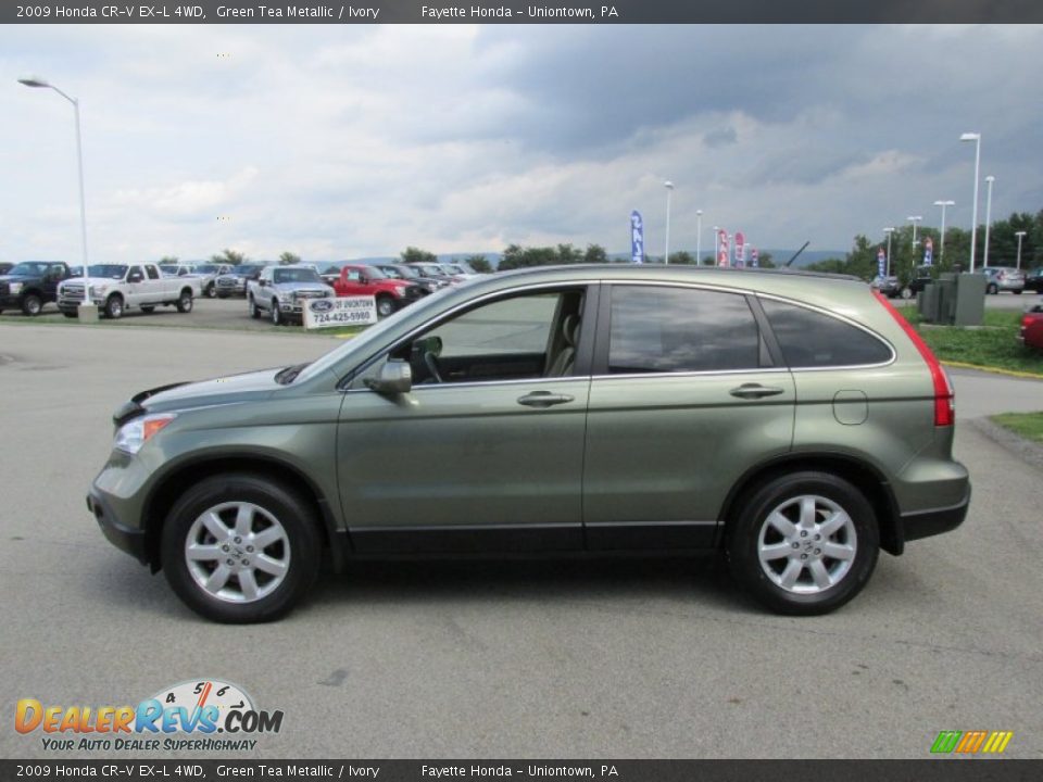 2009 Honda CR-V EX-L 4WD Green Tea Metallic / Ivory Photo #4