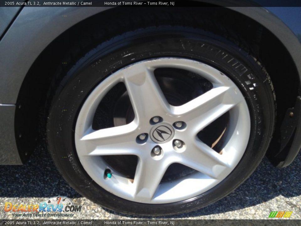 2005 Acura TL 3.2 Anthracite Metallic / Camel Photo #6