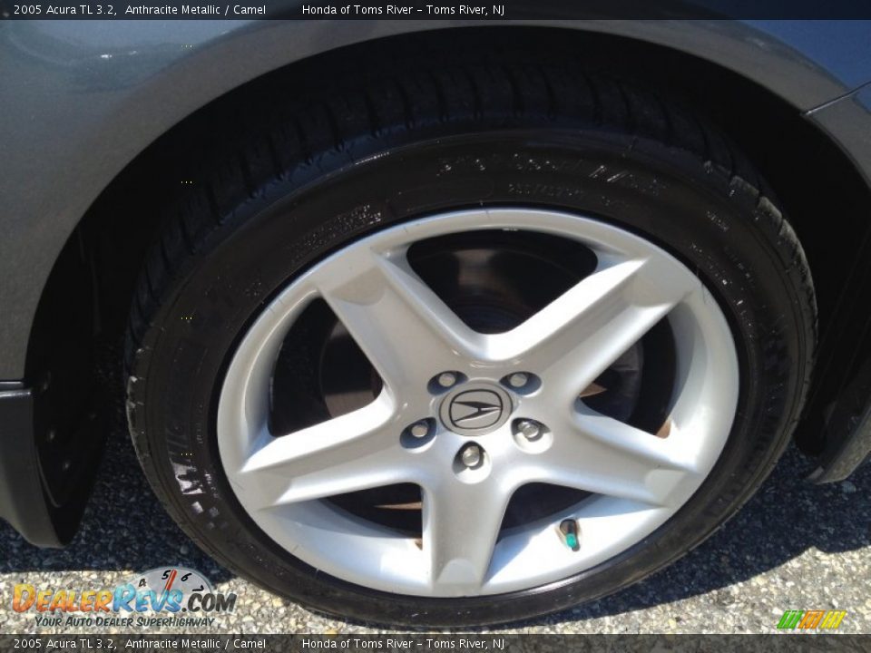 2005 Acura TL 3.2 Anthracite Metallic / Camel Photo #30