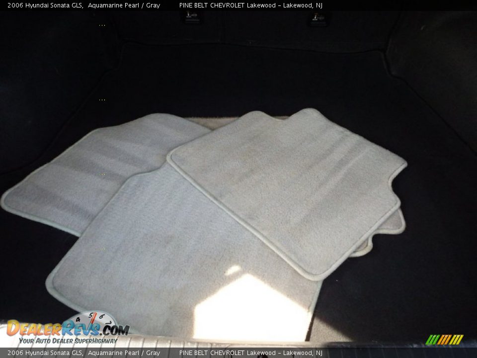 2006 Hyundai Sonata GLS Aquamarine Pearl / Gray Photo #19