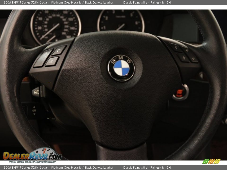 2009 BMW 5 Series 528xi Sedan Platinum Grey Metallic / Black Dakota Leather Photo #6