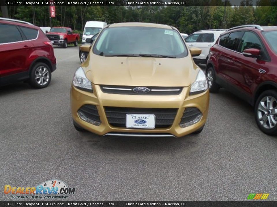 2014 Ford Escape SE 1.6L EcoBoost Karat Gold / Charcoal Black Photo #2