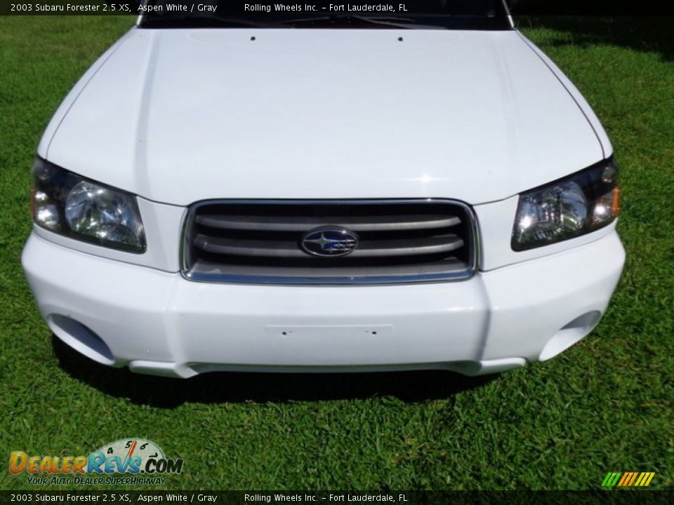 2003 Subaru Forester 2.5 XS Aspen White / Gray Photo #27