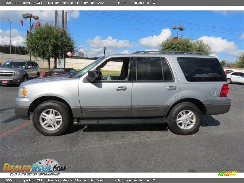 Silver Birch Metallic 2006 Ford Expedition XLT Photo #4