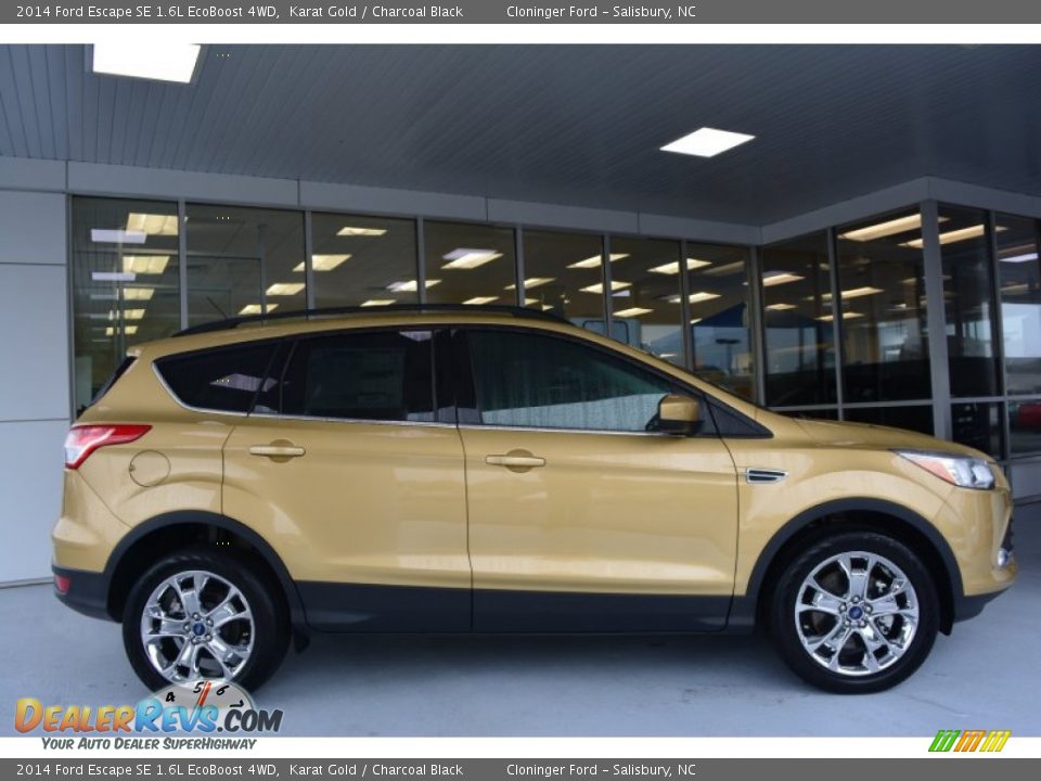 2014 Ford Escape SE 1.6L EcoBoost 4WD Karat Gold / Charcoal Black Photo #2