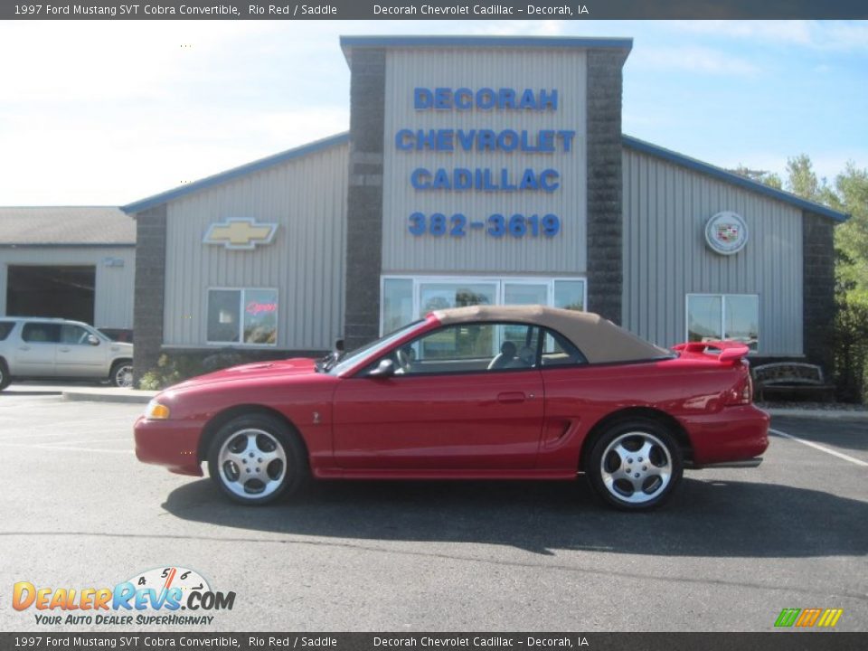 1997 Ford Mustang SVT Cobra Convertible Rio Red / Saddle Photo #1