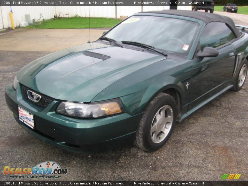 2001 Ford Mustang V6 Convertible Tropic Green metallic / Medium Parchment Photo #3