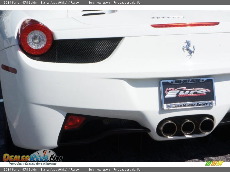 2014 Ferrari 458 Spider Bianco Avus (White) / Rosso Photo #14