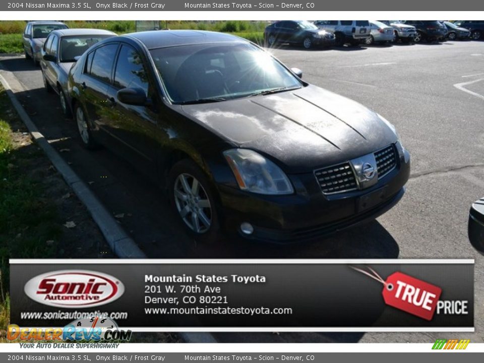 2004 Nissan Maxima 3.5 SL Onyx Black / Frost Gray Photo #1