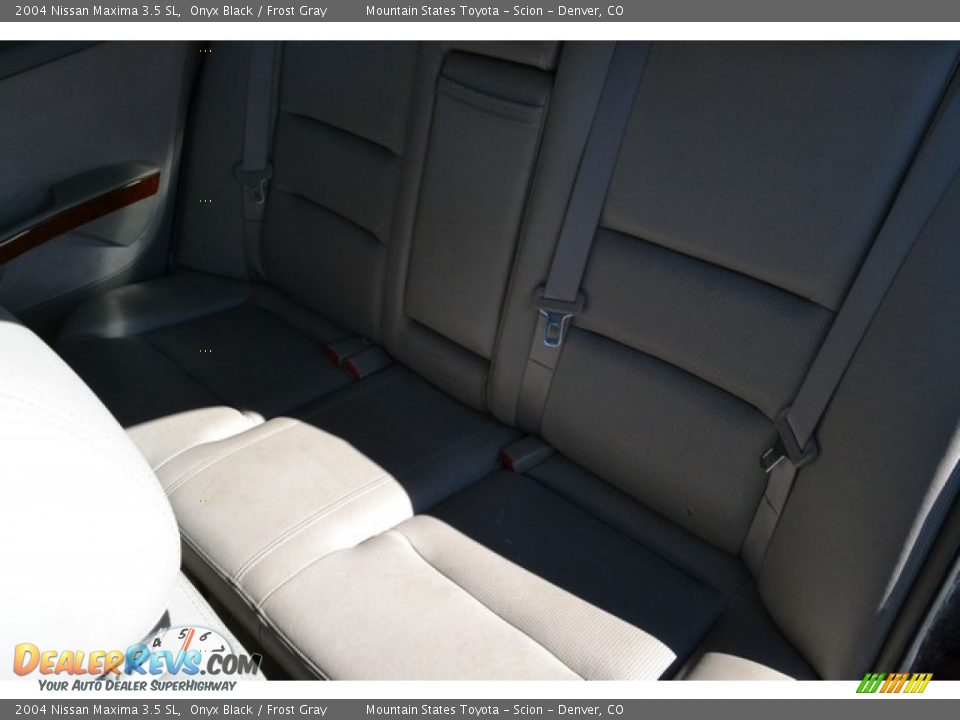 2004 Nissan Maxima 3.5 SL Onyx Black / Frost Gray Photo #6
