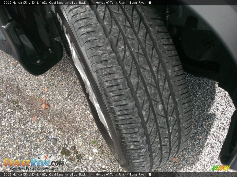 2012 Honda CR-V EX-L 4WD Opal Sage Metallic / Black Photo #3