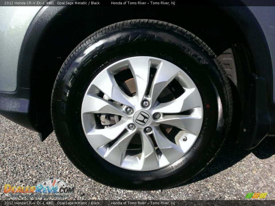 2012 Honda CR-V EX-L 4WD Opal Sage Metallic / Black Photo #4