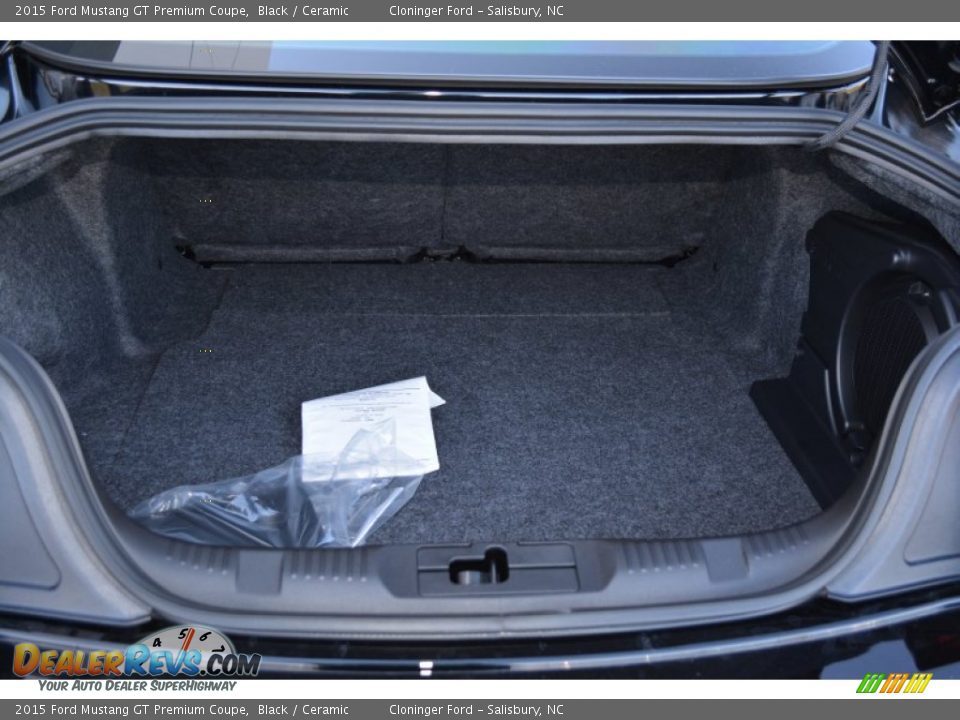 2015 Ford Mustang GT Premium Coupe Trunk Photo #10