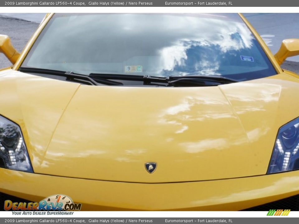 2009 Lamborghini Gallardo LP560-4 Coupe Giallo Halys (Yellow) / Nero Perseus Photo #17