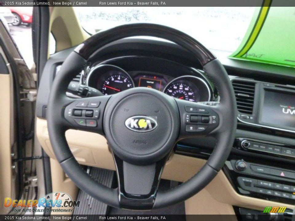 2015 Kia Sedona Limited Steering Wheel Photo #19