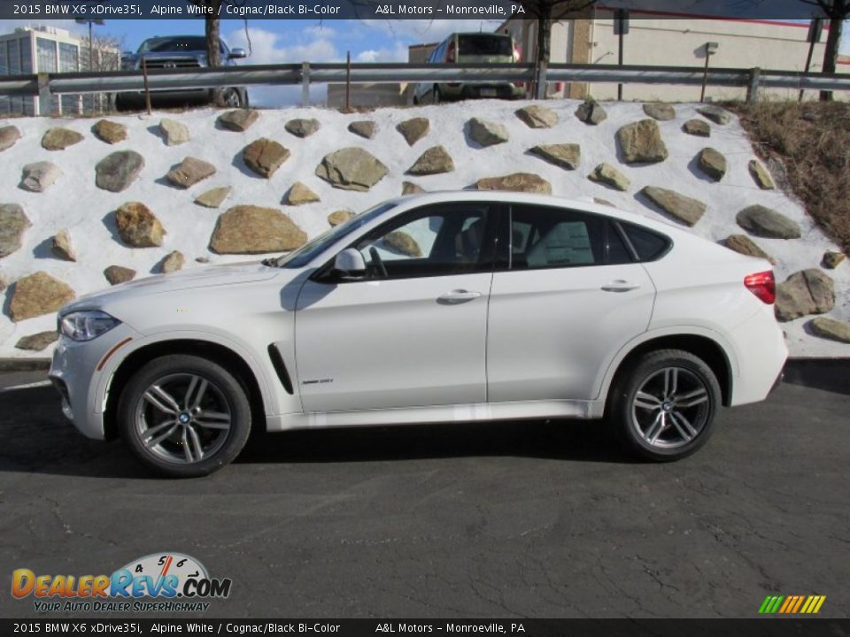 Alpine White 2015 BMW X6 xDrive35i Photo #2