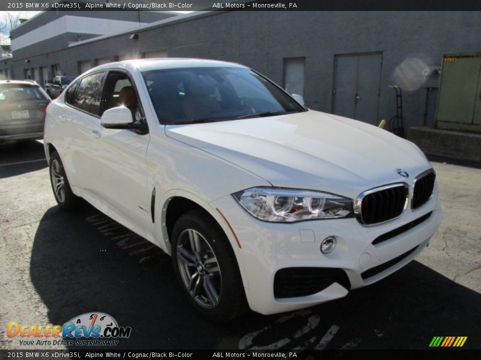 Front 3/4 View of 2015 BMW X6 xDrive35i Photo #8
