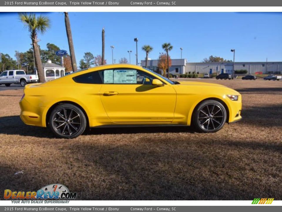 Triple Yellow Tricoat 2015 Ford Mustang EcoBoost Coupe Photo #4
