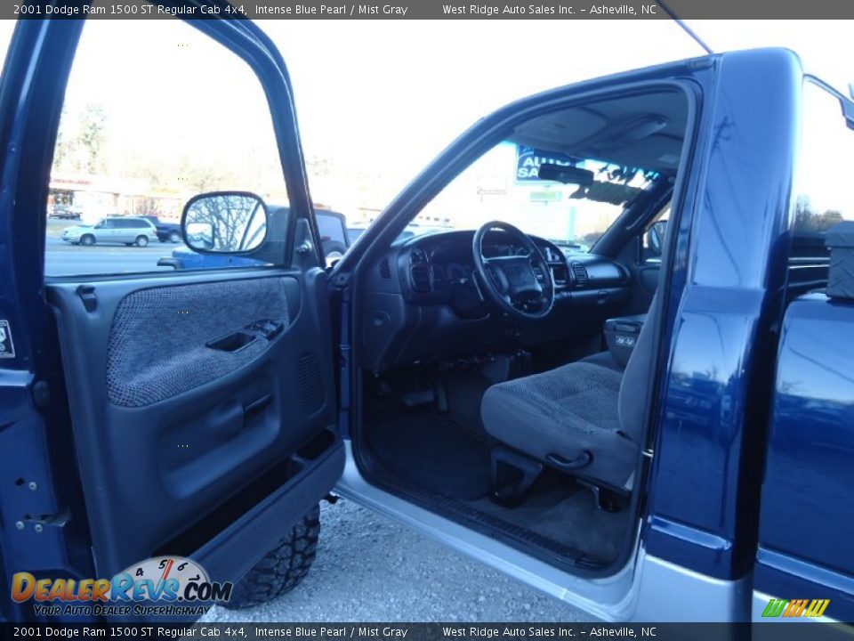 2001 Dodge Ram 1500 ST Regular Cab 4x4 Intense Blue Pearl / Mist Gray Photo #9