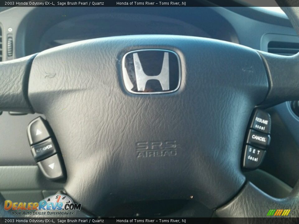 2003 Honda Odyssey EX-L Sage Brush Pearl / Quartz Photo #21
