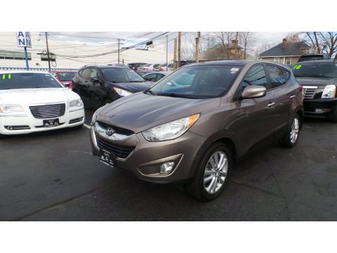 Chai Bronze Hyundai Tucson Limited AWD.  Click to enlarge.