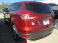 2015 Escape S #7