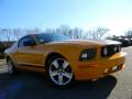 2007 Mustang V6 Premium Coupe #2