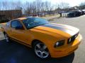 2007 Mustang V6 Premium Coupe #3