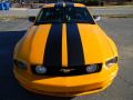 2007 Mustang V6 Premium Coupe #5