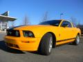 2007 Mustang V6 Premium Coupe #6