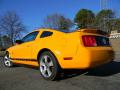 2007 Mustang V6 Premium Coupe #8